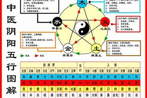 怎样算五行|如何查自己五行什么命 快速查自己的五行属性